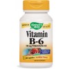 Nature's Way Vitamin B-6 100 caps - зображення 1