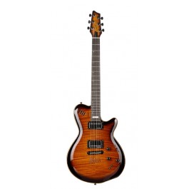 Godin LG SIGNATURE FLAME AA