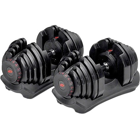 Bowflex SelectTech 1090 Dumbbells - зображення 1