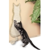 Trixie Cat Scratching Board 43112
