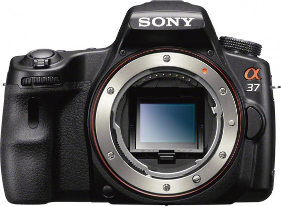 Sony Alpha SLT-A37 - зображення 1