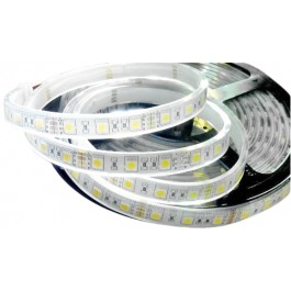   Brille BY-025/60 5м LEDx1m 5050 CW WHITE PCB (183973)