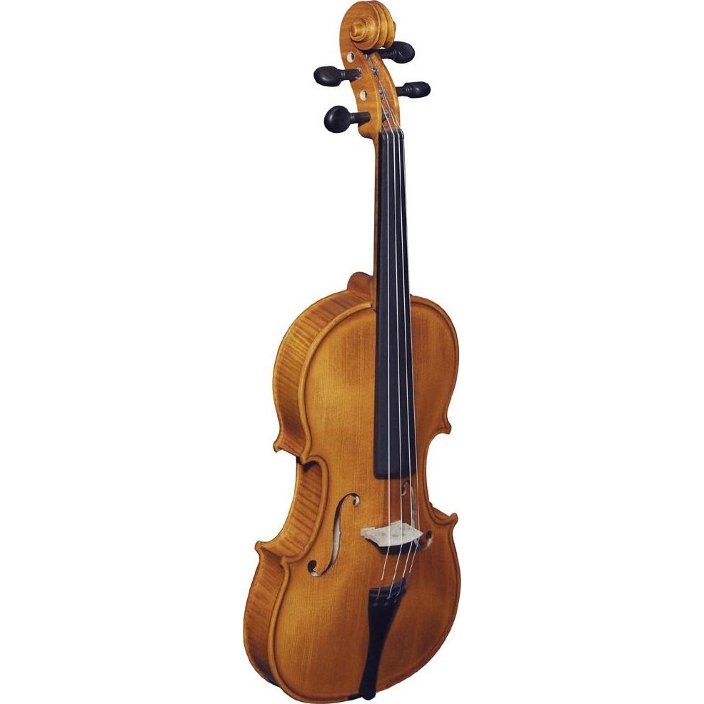 Strunal Stradivarius 193WA 4/4 - зображення 1