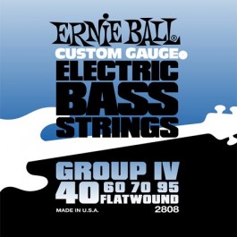   Ernie Ball P02808