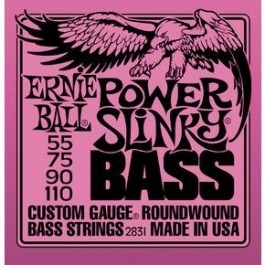   Ernie Ball P02831