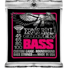   Ernie Ball P03834