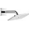 Hansgrohe Raindance 100 27375000 - зображення 1