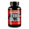 Activlab Tribu Stallion 60 caps - зображення 1