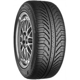 Michelin Pilot Sport Plus A/S (295/35R20 105V)