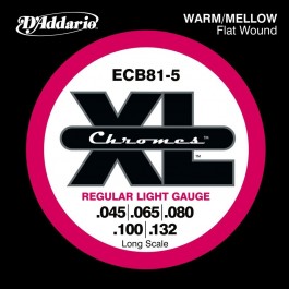   D'Addario ECB81-5