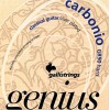 GALLI Genius Carbonio GR90 - зображення 1