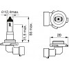 Bosch H10 Standard 12V 42W (1987302083) - зображення 2