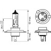 Bosch H4 Daytime Plus 10 12V 60/55W (1987302048) - зображення 2