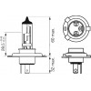 Bosch H4 Plus 30 12V 60/55W (1987302042) - зображення 2