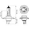 Bosch H4 Plus 60 12V 60/55W (1987302049) - зображення 2