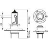 Bosch H7 Plus 50 12V 55W (1987302079) - зображення 2