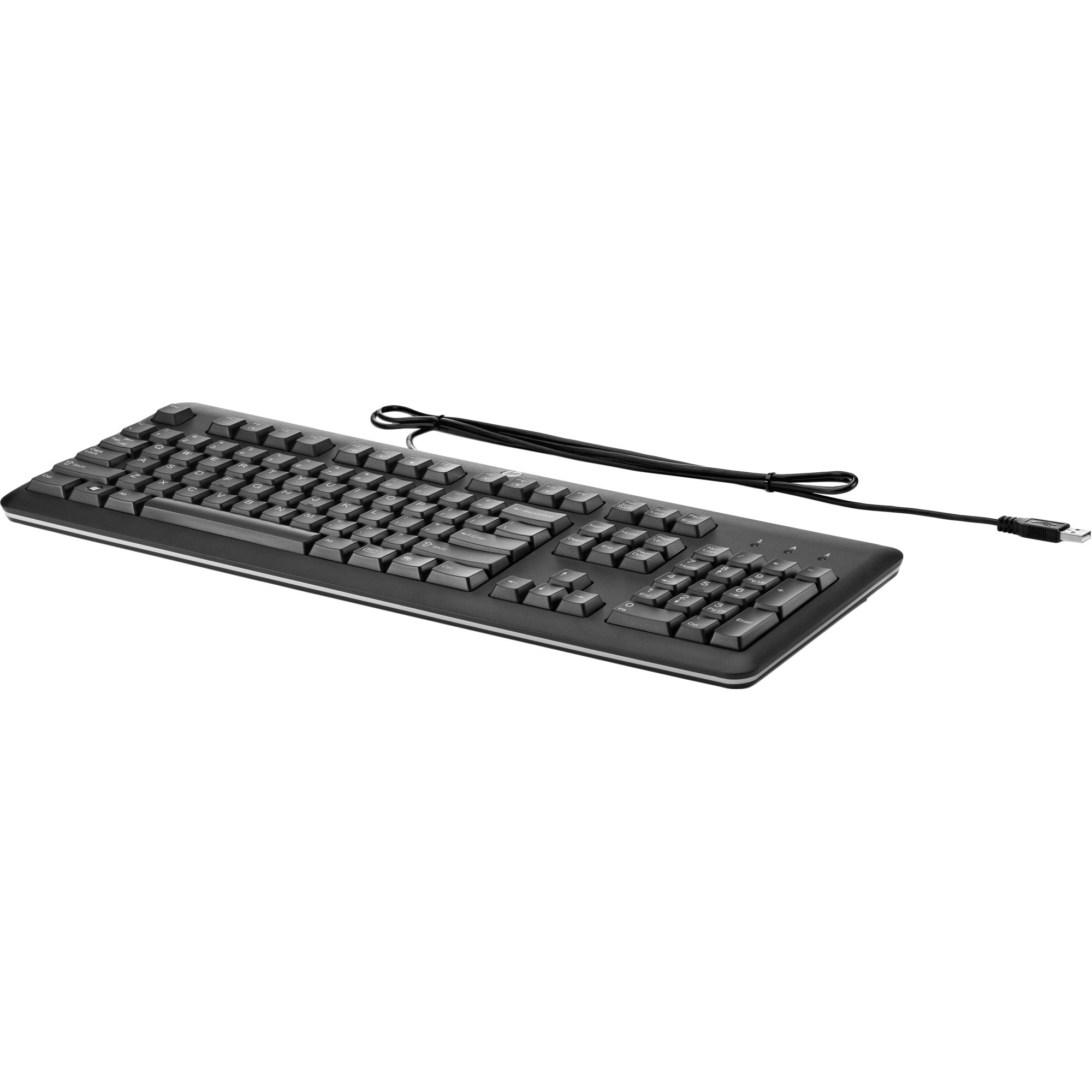 HP USB Keyboard (QY776AA) - зображення 1