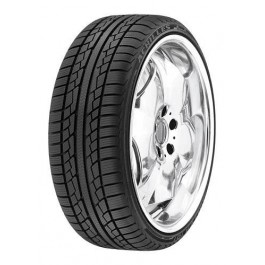   Achilles Winter 101 (185/65R15 88T)