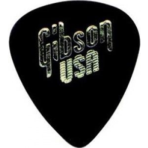 Gibson APRGG-74H 01 - зображення 1