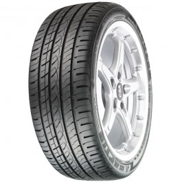   Hercules Tire Raptis WR 1 (215/45R17 91W)