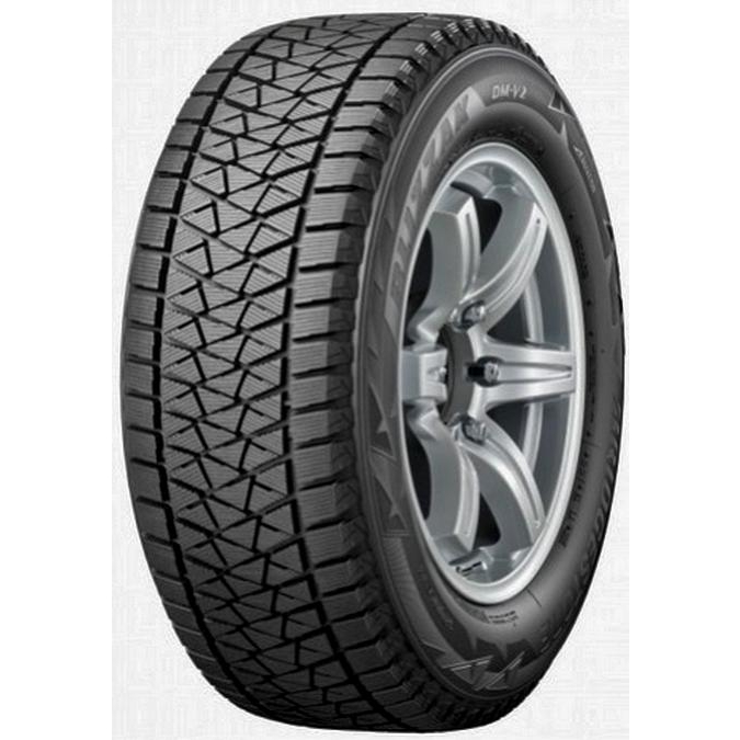 Bridgestone BLIZZAK DM-V2 (255/50R19 107T) - зображення 1