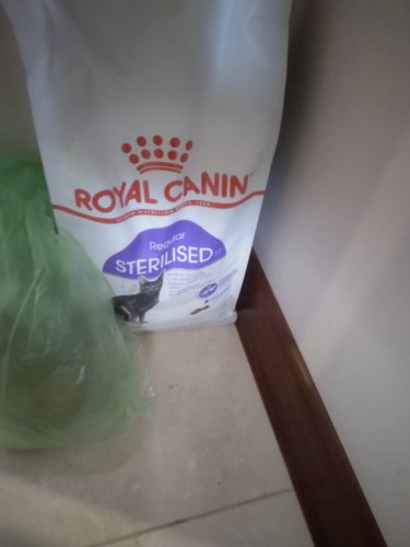 Фото сухий корм Royal Canin Sterilised 37 0,4 кг (2537004) від користувача Odessamebel