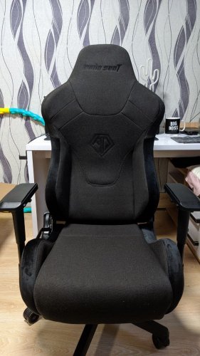 Фото Комп'ютерне крісло для геймера Anda Seat T-Pro 2 XL Black (AD12XLLA-01-B-F) від користувача keglya