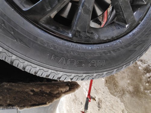 Фото Зимові шини Nokian Tyres WR SUV 4 (255/55R20 110V) від користувача airalchemist