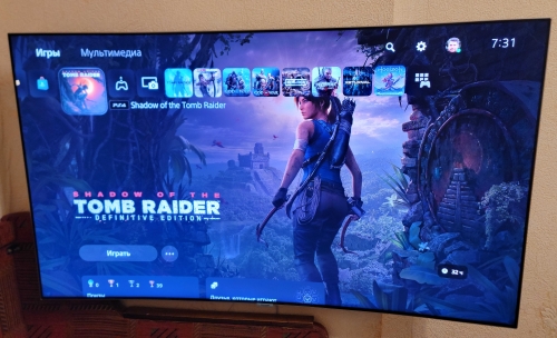 Фото Гра для PS4  Shadow of the Tomb Raider Standard Edition PS4 (SSHTR4RU01) від користувача Ironhide