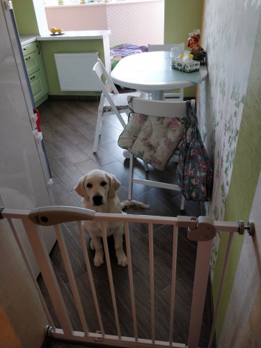 Фото дверцята Trixie DOG BARRIER - загородка для собак (39451) від користувача irynaz