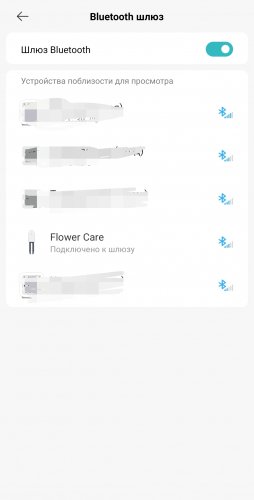 Фото Гігрометр для ґрунту (аналізатор ґрунту) Xiaomi Mi Flora Flower & Grass Monitor (HHCCJCY01HHCC) від користувача matasarei