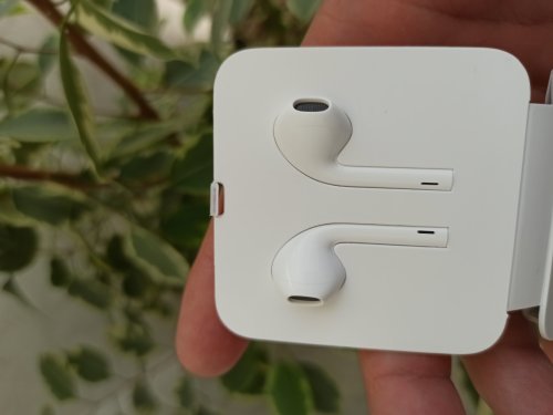 Фото Навушники з мікрофоном Apple EarPods with Lightning Connector (MMTN2) від користувача Mexanik