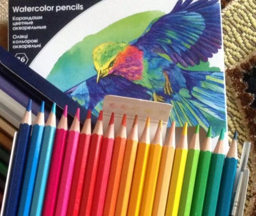 Фото Олівці, пастель Kite Карандаши цветные акварельные Птицы 36 цветов (K18-1052) від користувача Mexanik