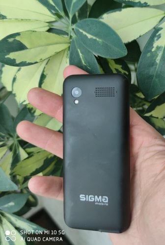 Фото Мобільний телефон Sigma mobile X-style 31 Power Black від користувача Mexanik