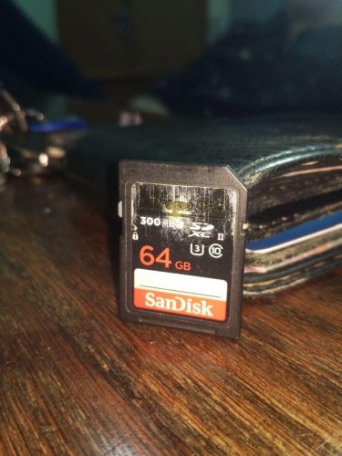 Фото Карта пам'яті SanDisk 64 GB SDXC UHS-II U3 Extreme Pro SDSDXPK-064G-GN4IN від користувача Baratheon