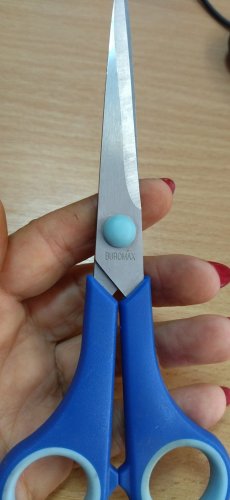 Фото Ножиці BuroMax Ножницы с резиновыми вставками , 175 мм (BM.4504) від користувача Катруся