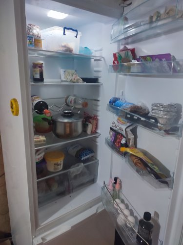 Фото Холодильник з морозильною камерою Snaige RF36SM-S0002F від користувача Silent Bob