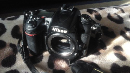 Фото Дзеркальний фотоапарат Nikon D7000 body (VBA290AE) від користувача Макс Максим