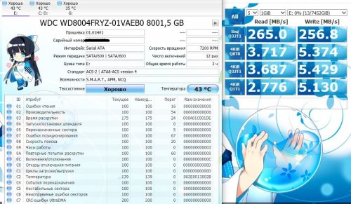 Фото Жорсткий диск WD Gold Enterprise Class 8 TB (WD8004FRYZ) від користувача mk