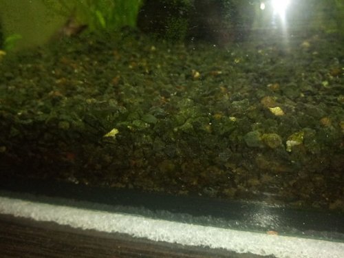 Фото Грунт, пісок Nechay Zoo Грунт для аквариума черный 10 кг (мелкий) (2700005236128) від користувача kostyany4