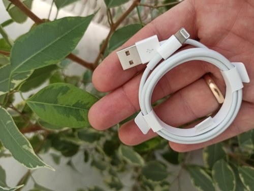 Фото Кабель Lightning Apple Lightning to USB Cable 1m (MXLY2) від користувача Mexanik