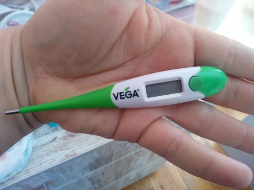 Фото Електронний термометр VEGA Flexible (MT519-BC) від користувача Odessamebel