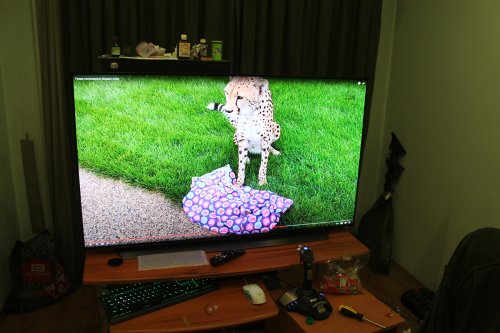 Фото Телевізор LG OLED55CX від користувача IN_human