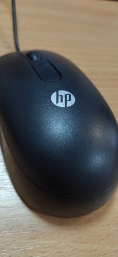 Фото Миша HP USB Optical Scroll Mouse (QY777AA) від користувача Катруся
