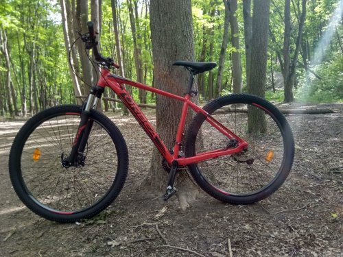 Фото велосипед найнер Orbea MX 30 29" 2021 / рама 43см bright red/black (L20717NT) від користувача Valera123456789
