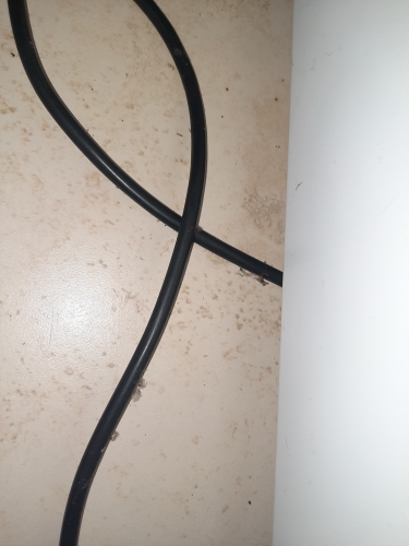 Фото Силовий кабель ВВГ Гал-Кат Кабель ВВГ 3x2.5  1 метр від користувача 4521