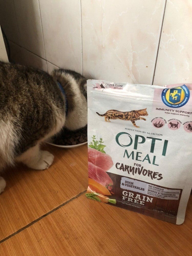 Фото Сухий корм Optimeal Grain Free Carnivores Для взрослых кошек Утка и Овощи 4 кг (4820083905940) від користувача Настя Дорош