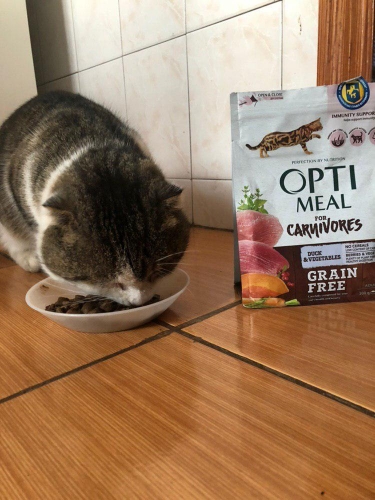 Фото Сухий корм Optimeal Grain Free Carnivores Для взрослых кошек Утка и Овощи 4 кг (4820083905940) від користувача Настя Дорош