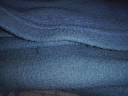 Фото готельний рушник Lotus Махровое отельное полотенце Basic 30х30 Ментоловое (svk-5081) від користувача Каріна Шкуріна