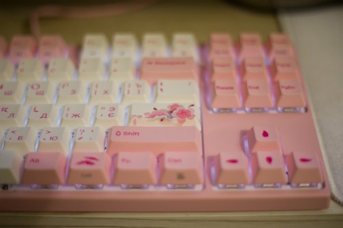 Фото Клавіатура Varmilo VEA87 Sakura R2 EC Daisy V2 (A33A027A8A3A17A024) від користувача Nazar